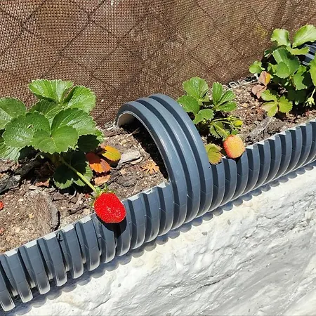 Lägenhet Casa Azul Albufeira